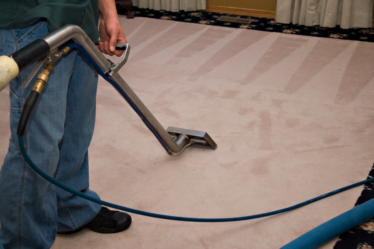 Does Home Depot Rent Carpet Cleaners