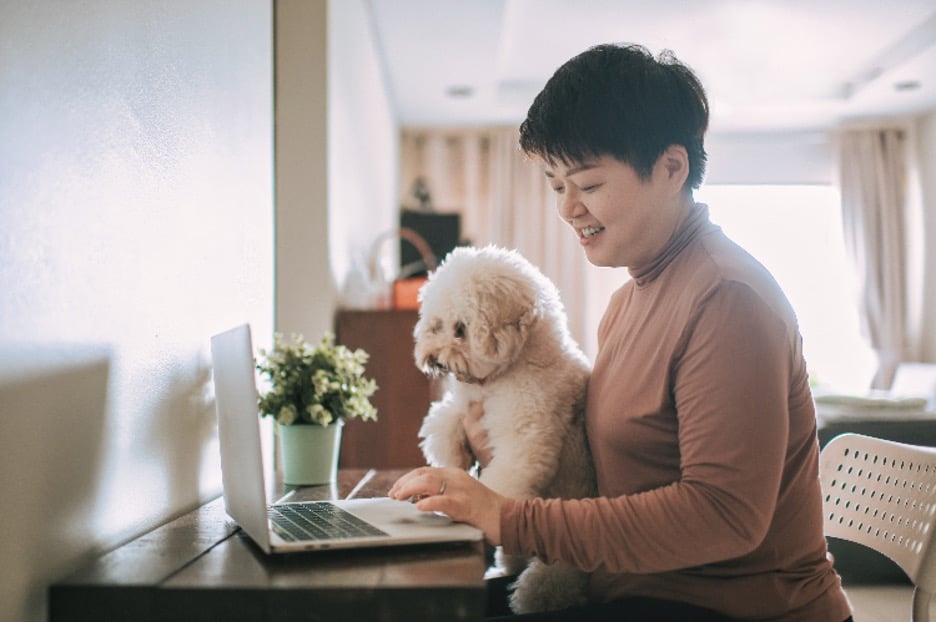 screening tenants with pets