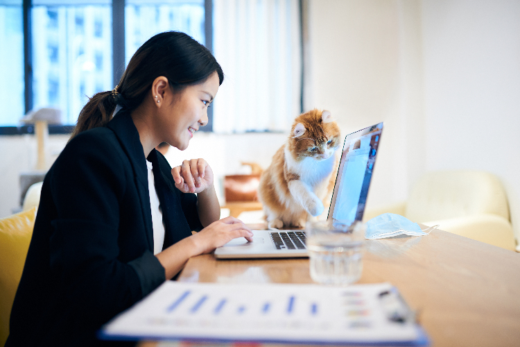 woman using computer and cat