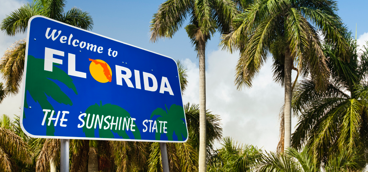 Florida header image